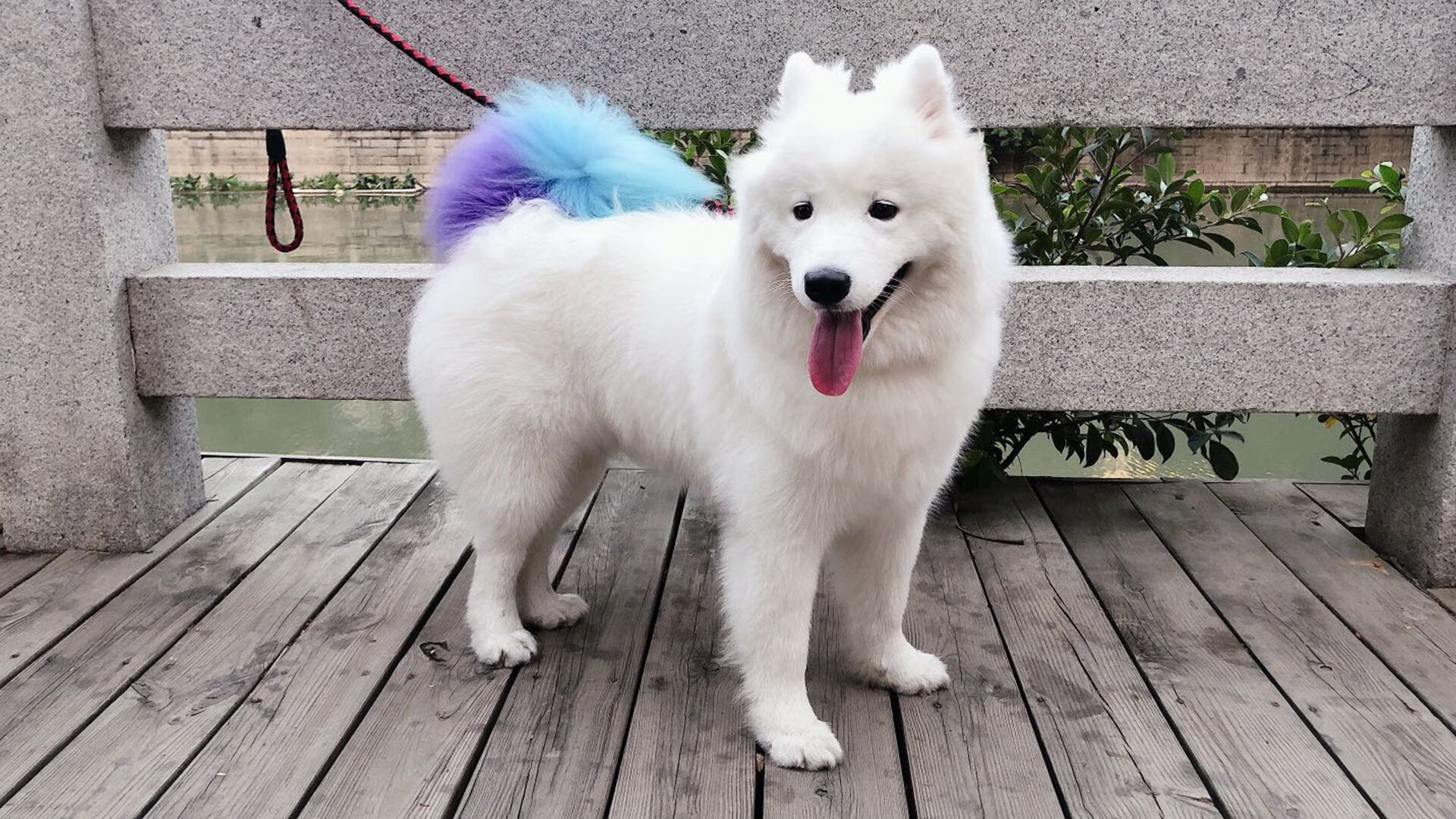 开云体育官网-欧文一剑封喉！太阳险胜奇才背后，那个被质疑的男人终于露出獠牙